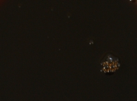 Active Bait Lotion (ABL) - CSL